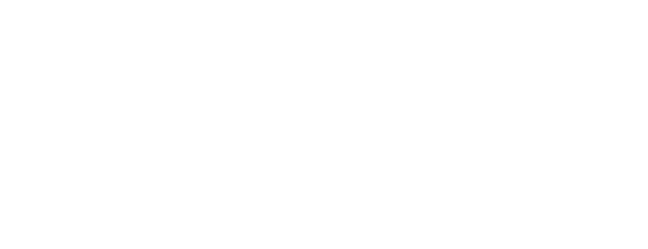 bni-v2-logo-white